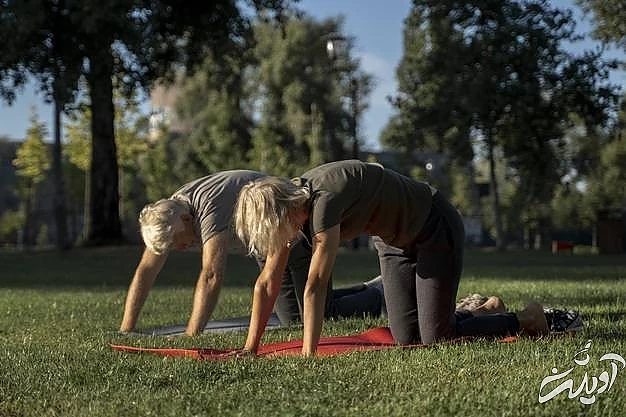 بهترین تمرینات پیلاتس سالمندان کشش گربه ای